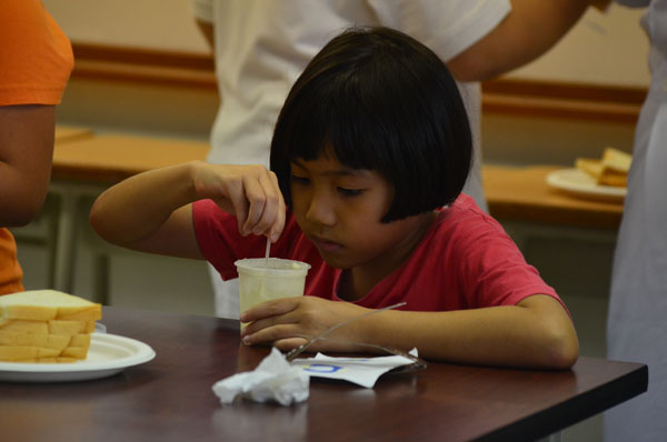 2-DSC_0001 (82)